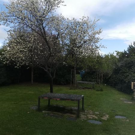 Apartamentos Rurales Alvado Tamajon Esterno foto