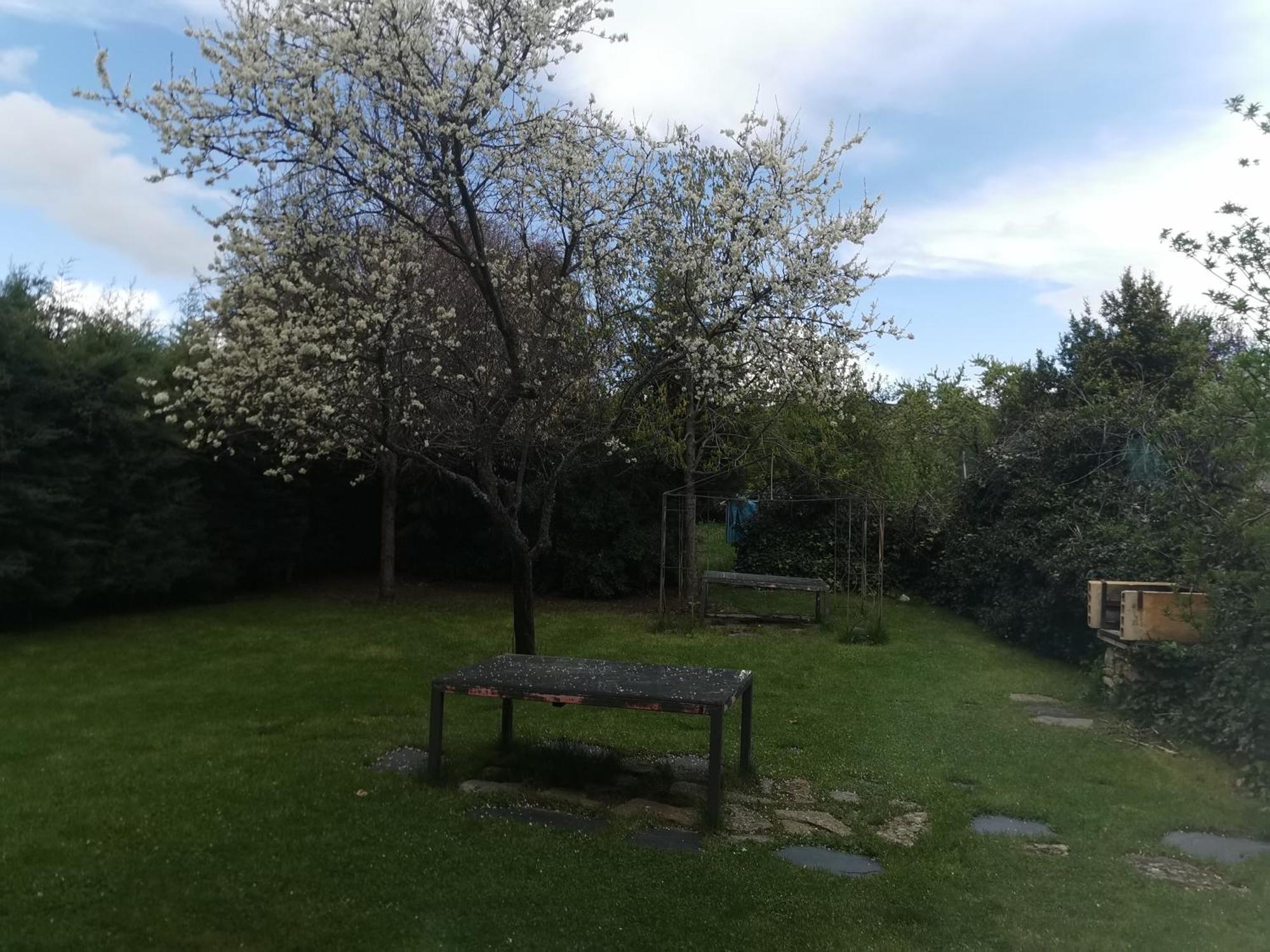 Apartamentos Rurales Alvado Tamajon Esterno foto